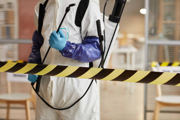 Professional Sewage Cleanup technician working in Patchogue, NY